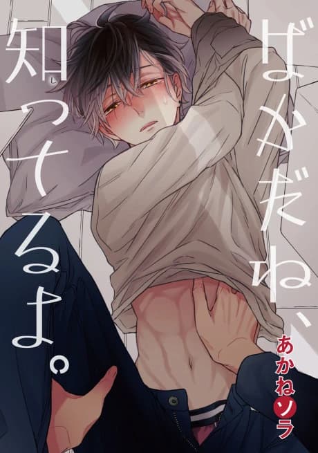 Baka da ne, Shitteru yo.
