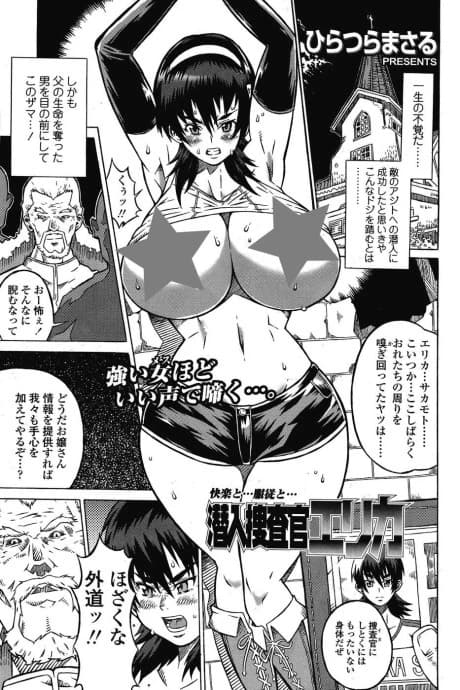 Sennyuu Sousakan Erika