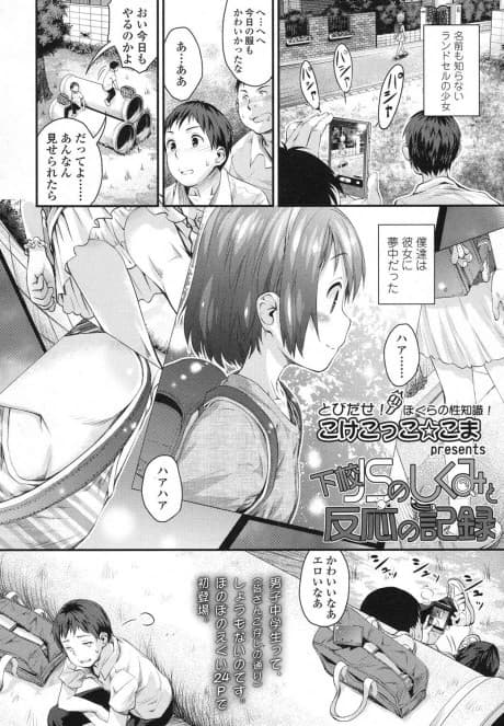 Gekou JS no Shikumi to Hannou no Kiroku
