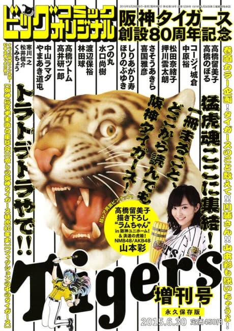 Hanshin Tigers Sousetsu 80 Shuunen Kinen Zoukan