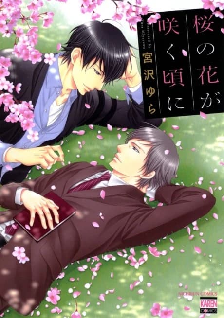 When the Cherry Blossoms Bloom