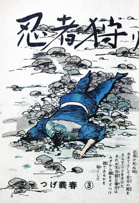 Ninjagari