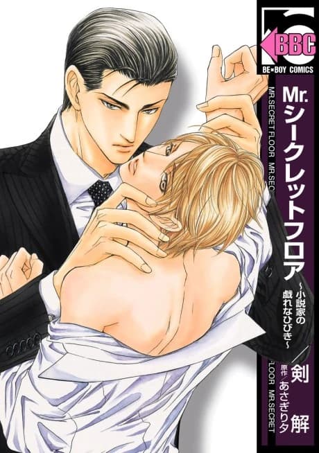 Mr. Secret Floor