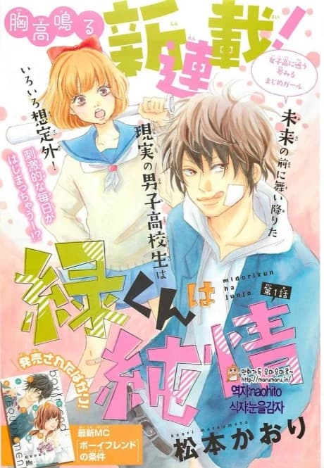 Midori-kun wa Junjou