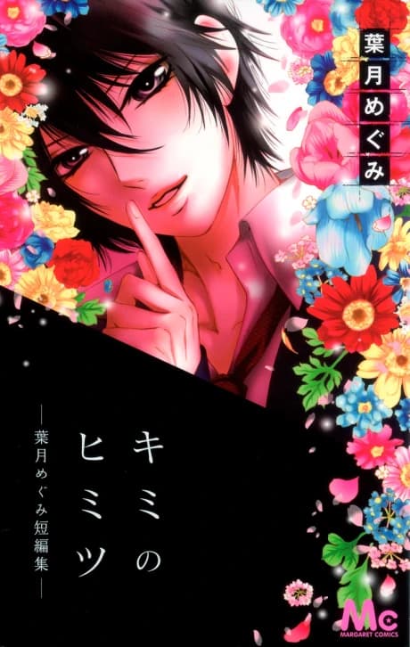 Kimi no Himitsu