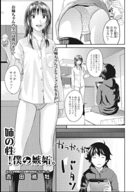 Ane no Sei! Boku no Shitto.