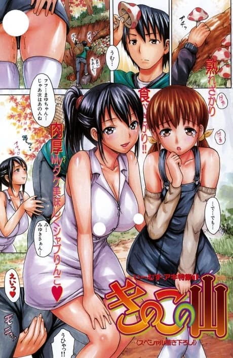Kinoko no Yama