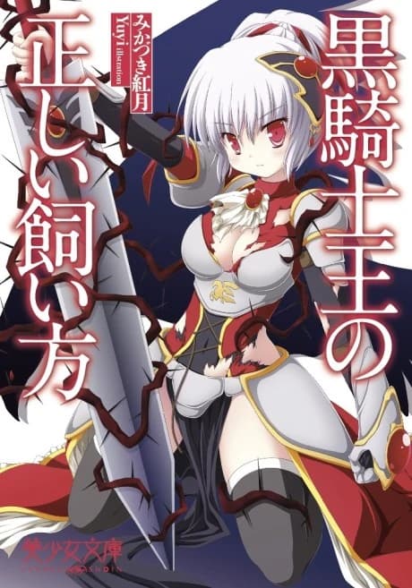 Kurokishi Ou no Tadashi Kaikata