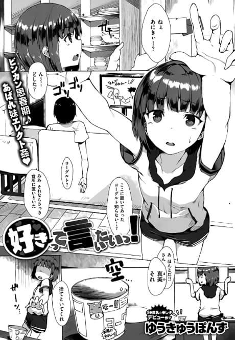 Sukitte Iitai!