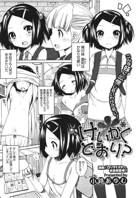 Keikaku Doori?