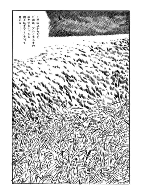 Vagabond Plain