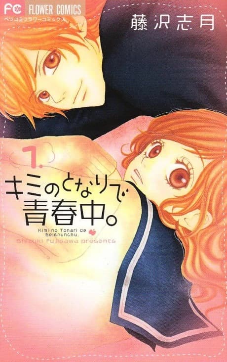 Kimi no Tonari de Seishunchuu.