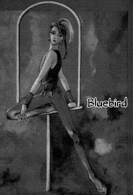 Aoi Tori: Bluebird