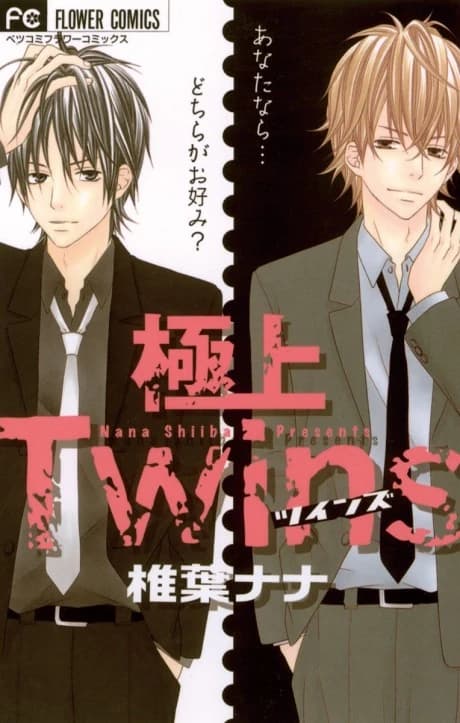 Gokujou Twins