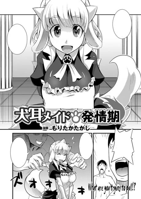 Inumimi Maid Hatsujouki