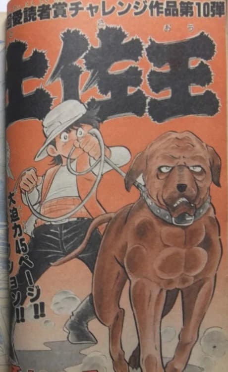 Tosaou