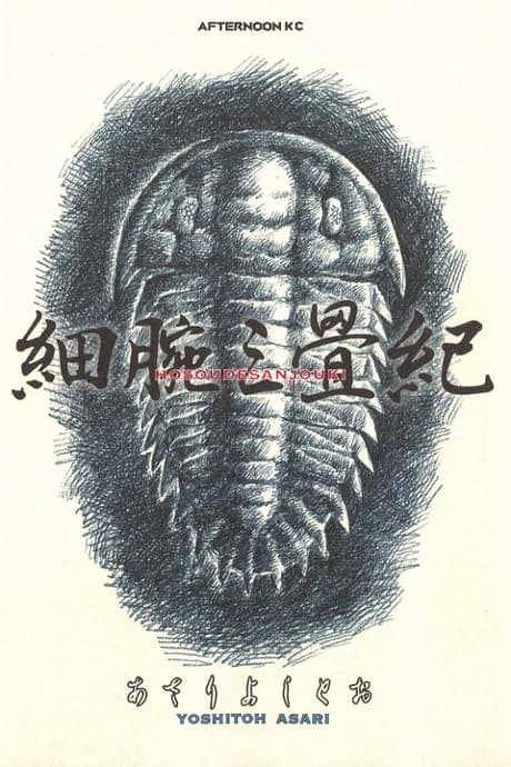Hosoudesanjouki