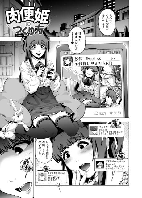 Nikuben Hime Series