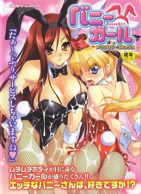 Bunny Girl Anthology Comics