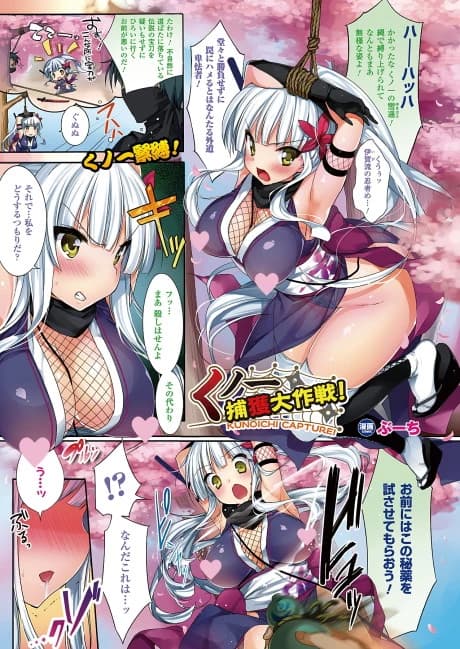 Kunoichi Keikaku Daisakusen! Kunoichi Capture!