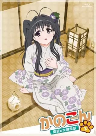 Kanokon: O Grande Carnaval do Meio do Verão