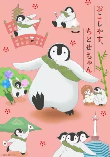 Bienvenue, Chitose