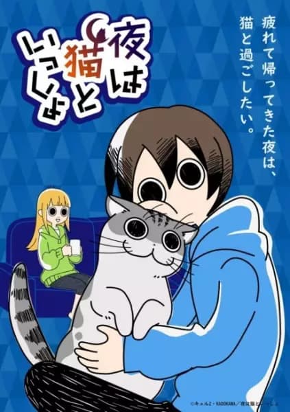 Noites com um Gato