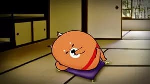 Kimoshiba