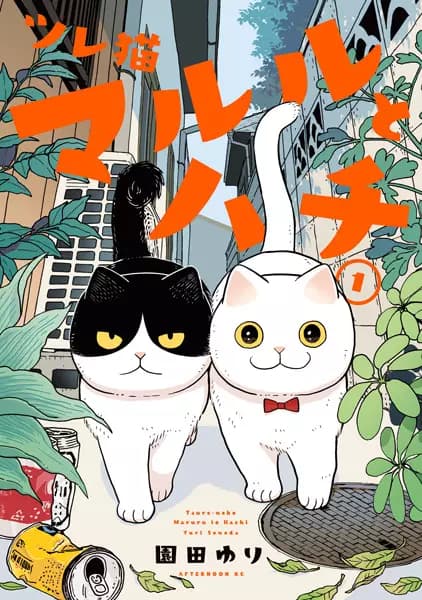 Cat Companions Maruru and Hachi