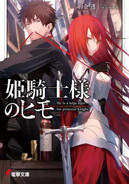 The Kept Man of the Princess Knight