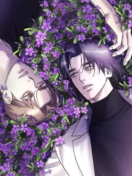 When the Violets Bloom