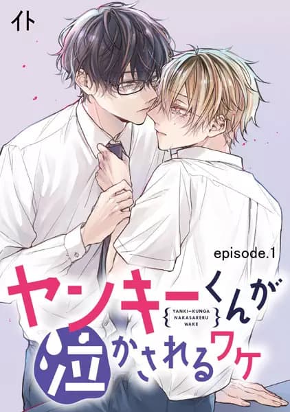 Yankee-kun ga Nakasareru Wake