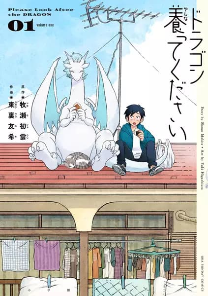 Please Look After the Dragon