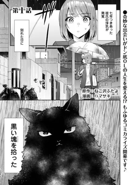 Ich bin mir nicht sicher, ob die Katze, die ich gefunden habe, wirklich eine Katze ist.