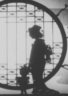 L'Illusion de Madame Butterfly