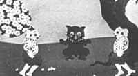 The Black Cat