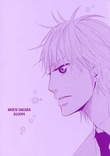 Sakura Saku Koro
