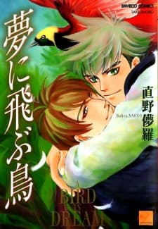 Yume ni Tobu Tori