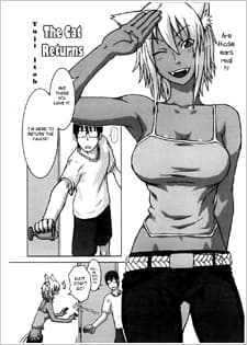 Neko ga Ongaeshi?