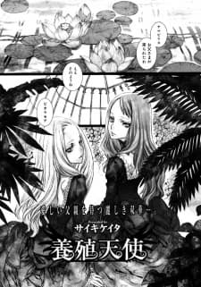 Youshoku Tenshi