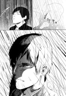 Seigi no Mikata