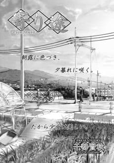 Yorimichi