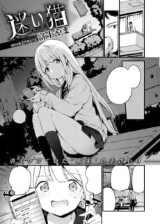 Stray Cat