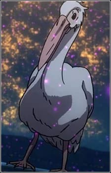 Pelico