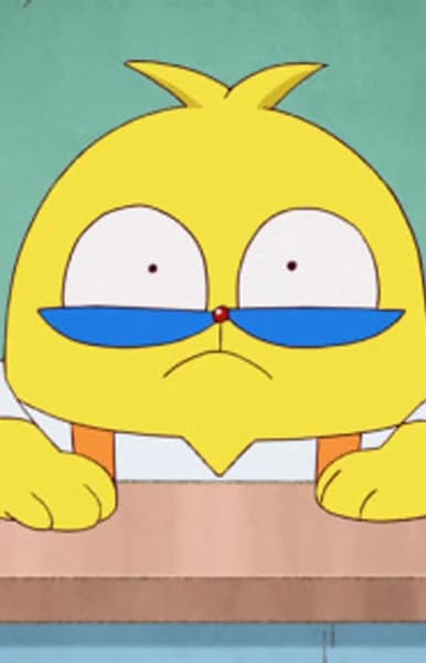 Pascal-sensei