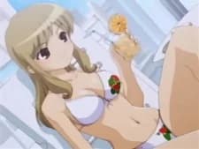 Gotou, Miya