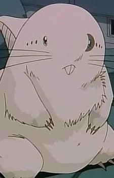 Tsukime