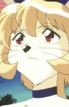 Michi-Michi