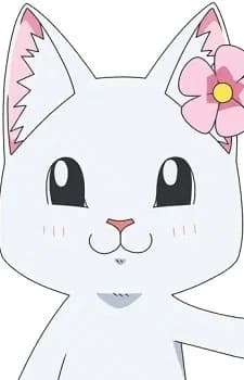 Hana