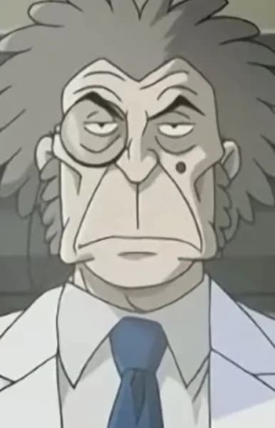 Stein